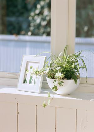 格安でお気に入りの洋陶器が見つかる